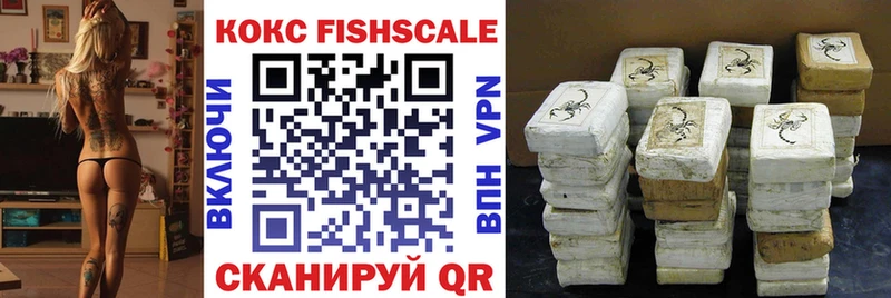 Купить закладки  Дятьково  Cocaine VHQ 