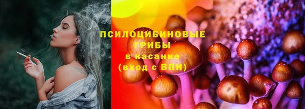 крисы Надым