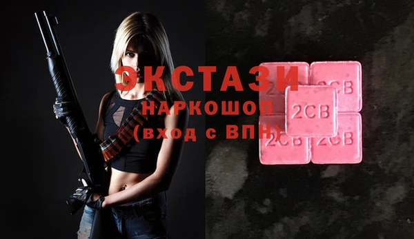 крисы Надым