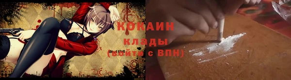 крисы Надым