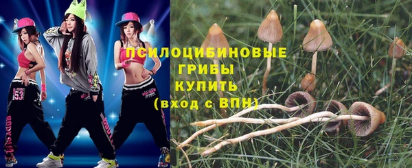 крисы Надым