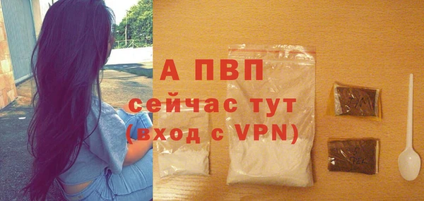 крисы Надым