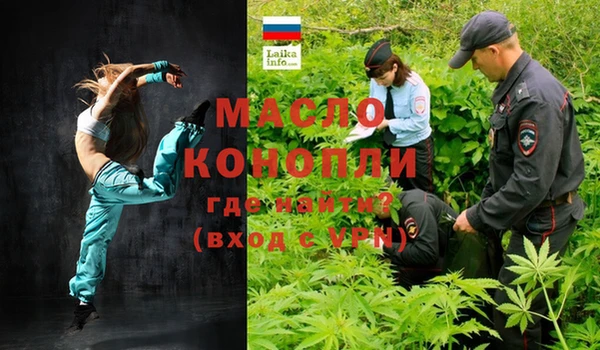 крисы Надым